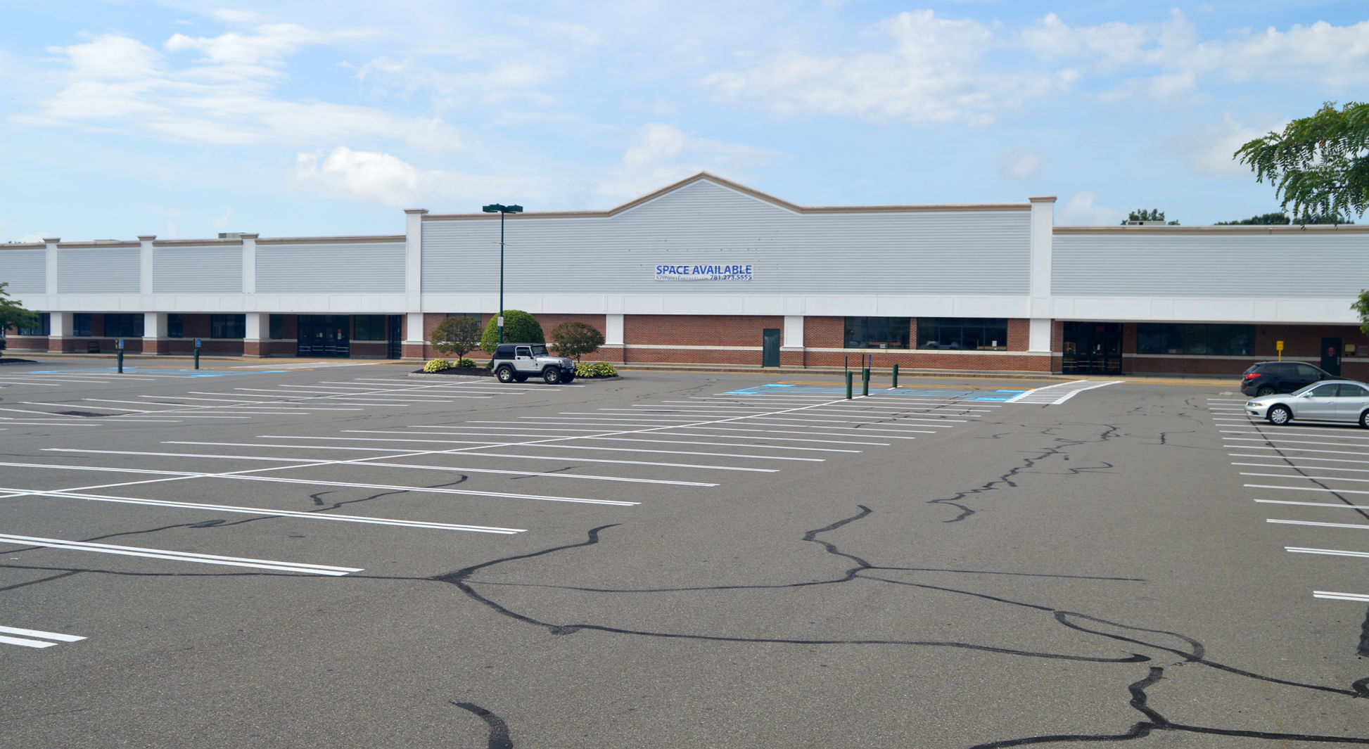 Shaws